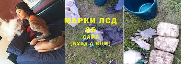 ГАЛЛЮЦИНОГЕННЫЕ ГРИБЫ Алзамай