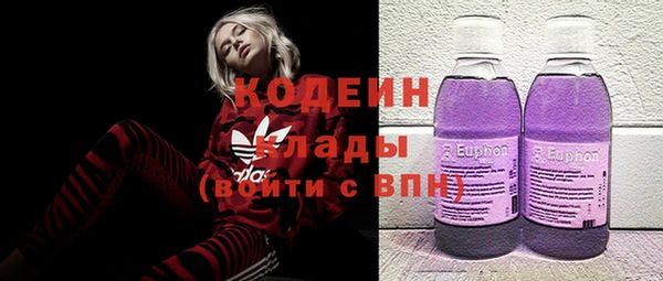 молекула духа Алексин
